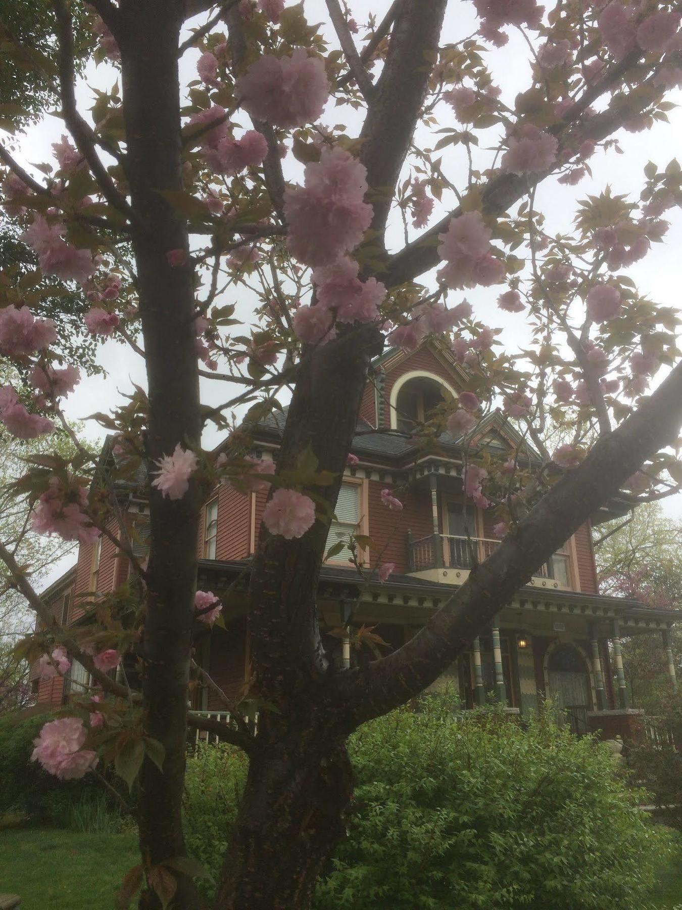 Grand Avenue Bed And Breakfast Cartago Exterior foto